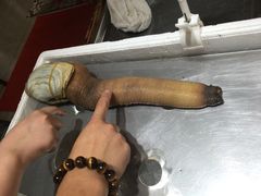 -蚝专家(北滘店)