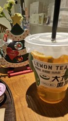 点击看大图 -玛莲朵·海菲秀冰珀科