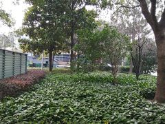 景点-北外滩滨江绿地