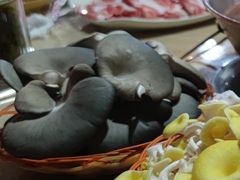 黑金刚-仙蘑洞