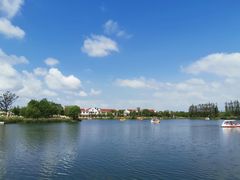 -上海长兴岛郊野公园