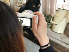 -海边的猫和咖啡馆