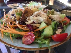 蔓越莓鸡肉沙拉-萨尔瓦多Salvador's
