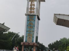 -日照海滨国家森林公园