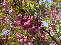 -莹珠阁·私房菜