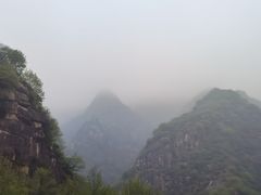 -王顺山国家森林公园