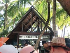 -海南分界洲岛旅游区