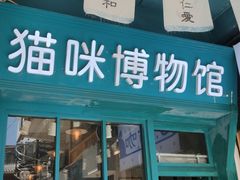 -猫咪博物馆(顶澳仔猫街店)