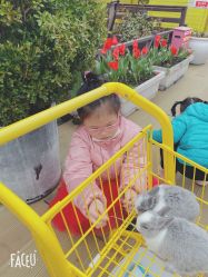 点击看大图 -小蜜蜂农场(凯德七宝购物广场店)