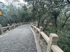 -灵岩山风景区