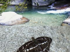 -大鄣山卧龙谷景区