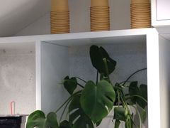 -星满杯TEAFUL(罗湖东门店)