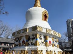 -护国法轮寺