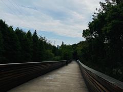 -昆山城市生态森林公园