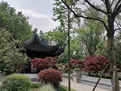 -枫桥景区