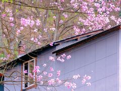 -九皇山景区