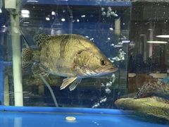 -三旗百汇商品城