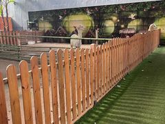 -呀路古热带植物园