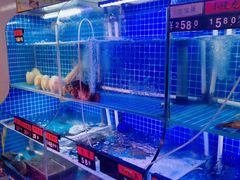 水产区-捞围鲜·港式打边炉(海阳路店)