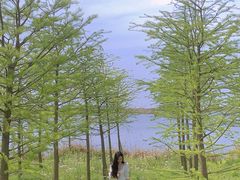 -南汇嘴观海公园