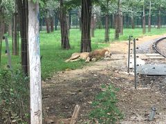 -秦皇岛野生动物园