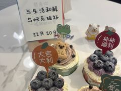 -EnergyCake蛋糕理想国
