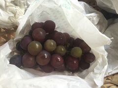 -马陆小张葡萄园农家乐