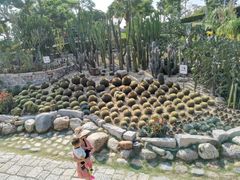 -胡里山炮台