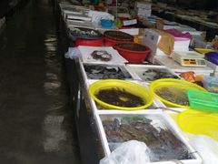 -板桥海鲜广场11排2号