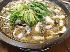 -都江堰石锅鱼