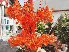 -后湖小院·乡野田园菜