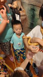 -奇幻萌宠部落(映月湖环宇城店)