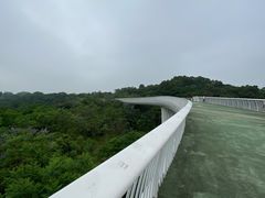 -飞凤山奥体公园
