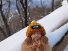 -终南山南五台景区