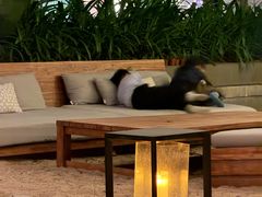 -三亚艾迪逊酒店·海滩烧烤 BARBACOA·现场乐队·浪漫晚餐·烧烤海鲜