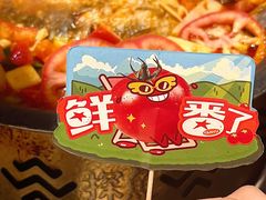 -岭南站NOVA