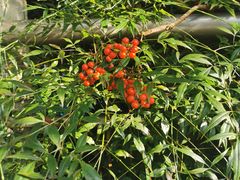 -花水湾第一村温泉大酒店