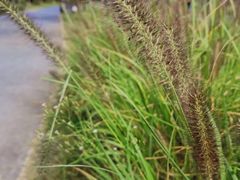-郑东新区龙湖公共艺术中心