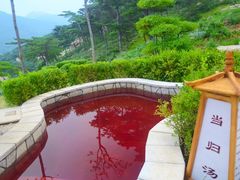 -徂徕山森林康养度假谷温泉
