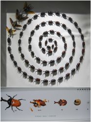 -酷嗒动物文化乐园(cutezoo西溪乐天城店)