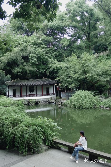 忠山公园图片