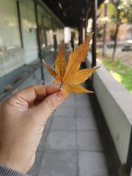 -盘子女人坊古装写真摄影(苏州旗舰店)