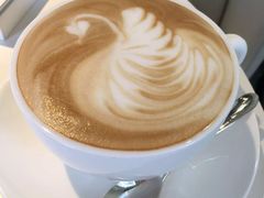 -BLACKSWAN黑天鹅(环球店)