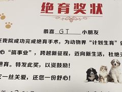 -佳雯宠物医院(四明中路分院)