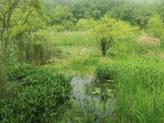 -西湖天地