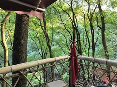 -巴倒烫陆派火锅山庄(南山总店)