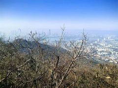 -紫金山山顶公园