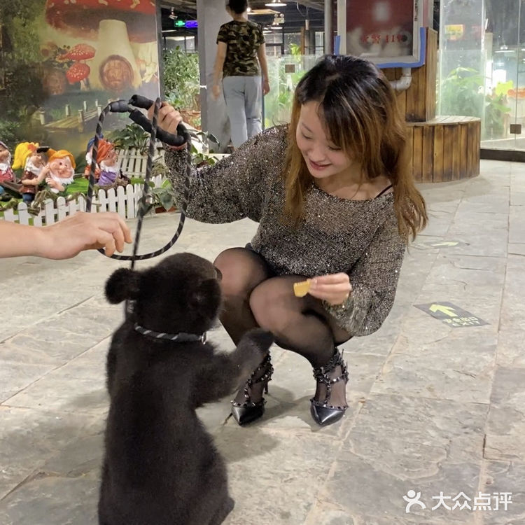 济南卡尔的萌宠庄园