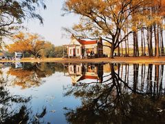 -上海共青森林公园