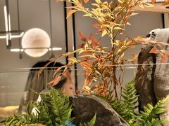 -绿茶餐厅(青岛城阳万象汇店)